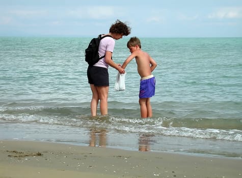 Collecting shells
