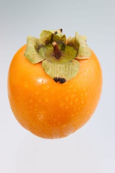 persimmon fruit 02