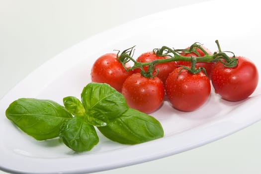 Tomatoes with basil 01