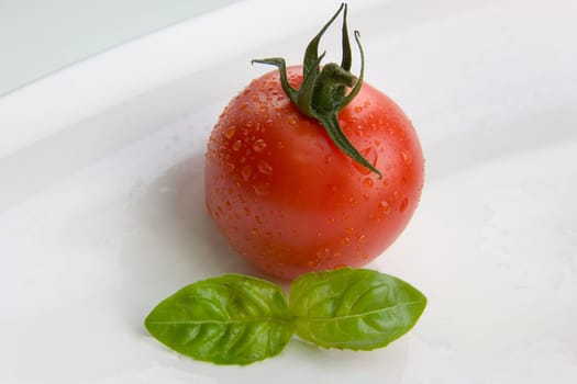 Tomatoes with basil 05