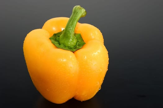 Paprika 03