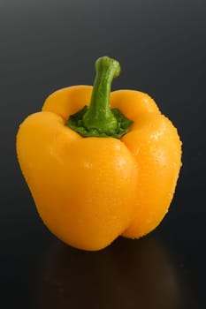 Paprika 04