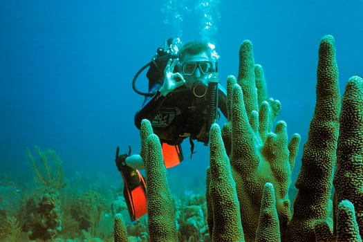Cayo Largo/Cuba