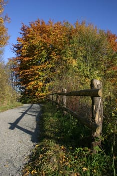 Hiking trail in autumnal landscape
