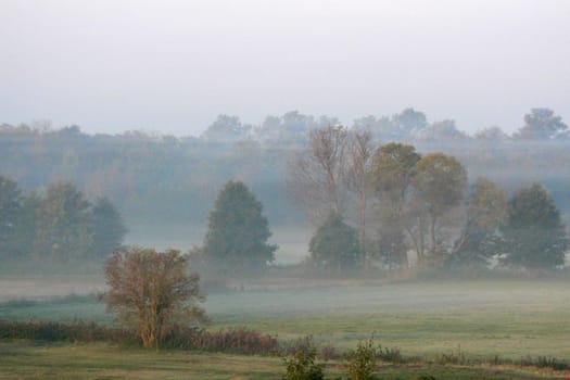 Clouds of fog in the morning