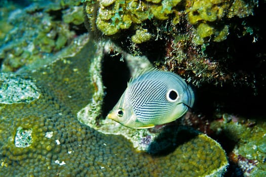 Cayo Largo/Cuba