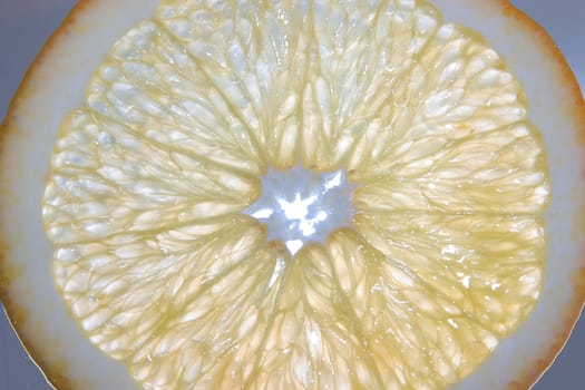 Orange slice 08