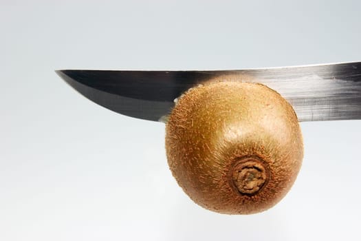 Kiwi 08
