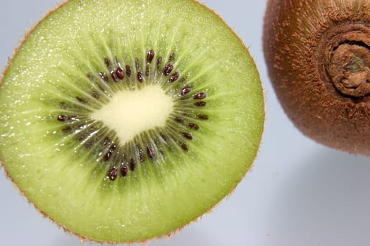 Kiwi 07
