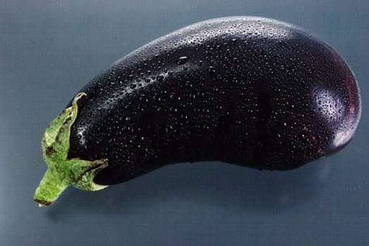 Eggplant 04