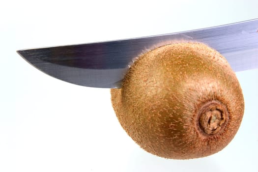 Kiwi 09