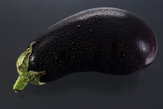 Eggplant 03