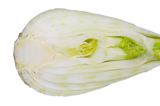 Fennel 06