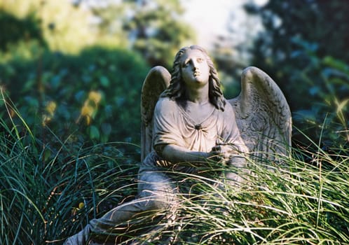 Angel
