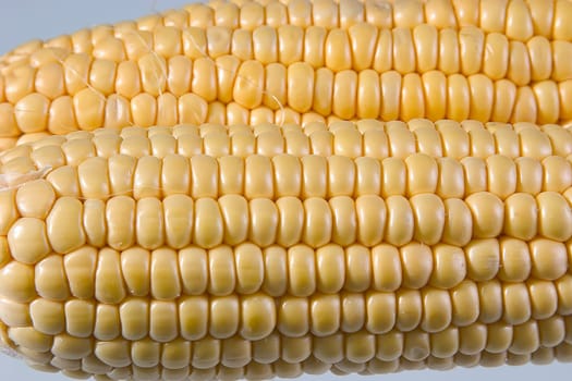 Corn 01