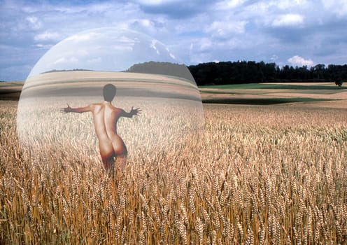 In the cornfield