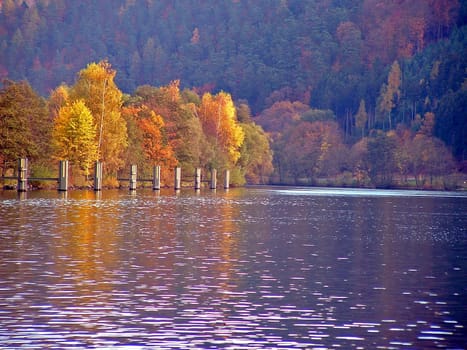 The banks of the Main
