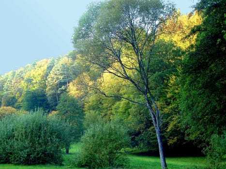 Autumn mood