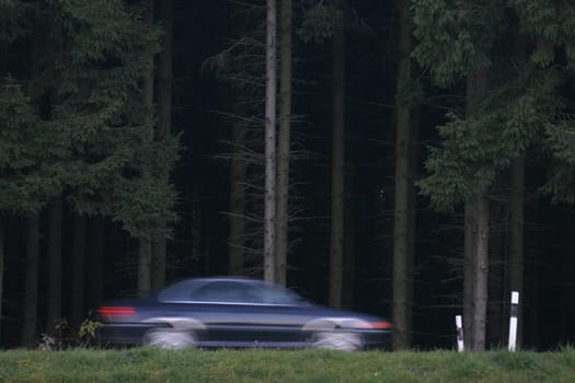 Forest Racer