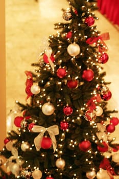 Christmas tree traditional without isolated without background