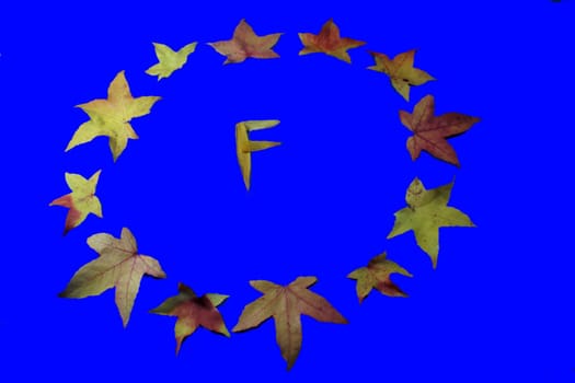 graphically edited to highlight the stars