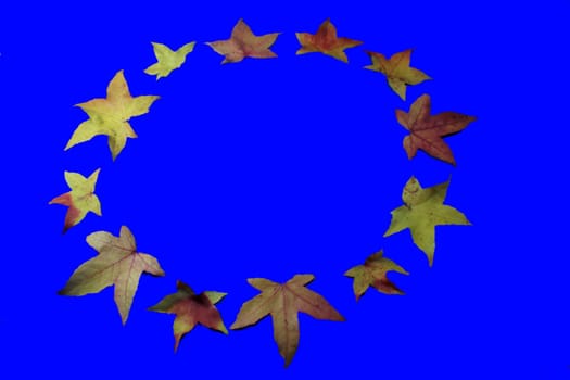graphically edited photo,background monochrome blue,background color can be changed with one click of the fill tool,country letters can be easily inserted by text tool (but I find the letters laid with sheets more beautiful.  I have
