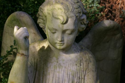 Guardian angel