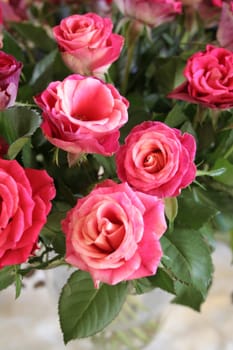 Bouquet of roses