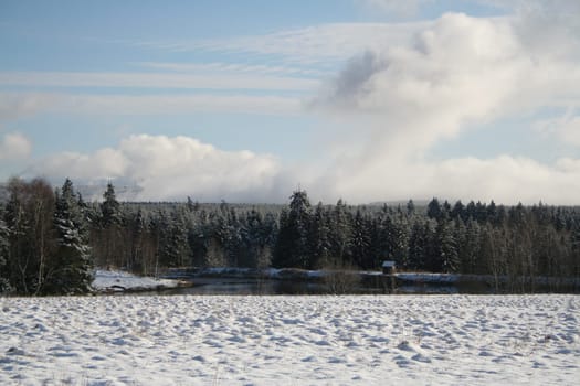 Walk in the snow