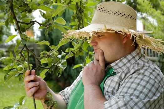 gardener