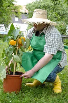 Gardener