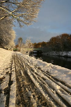 Recorded on November 25,2005 along the Nidda in Frankfurt am Main.