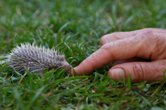 So small...