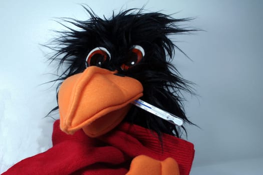 Raven flu