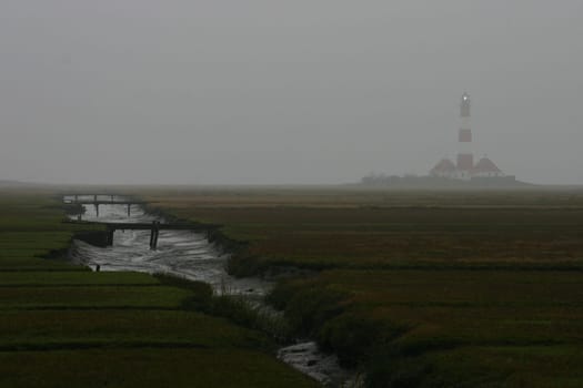 ... I'm back from Husum,actually wanted to bring some photos of sunrises or sunsets,unfortunately I was cancelled due to foggy and hazy weather... here is a photo of my yield. Greeting Bea