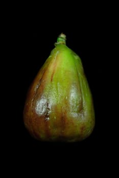 Fig No. 1
