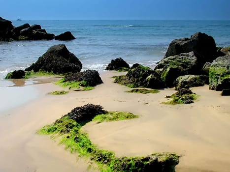 Coast