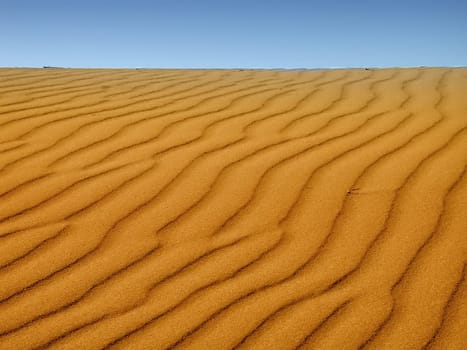 Sand Dune 1