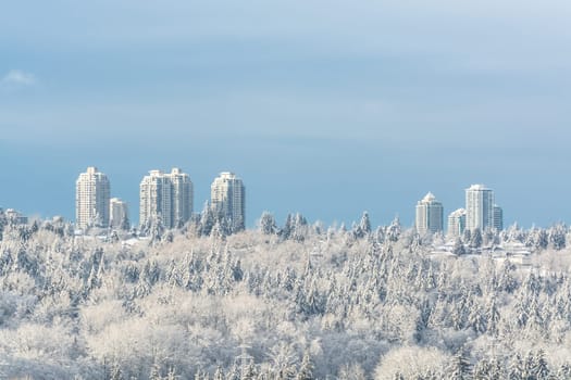 City in the snow. Residential tower buildings on bright winter day in Canada