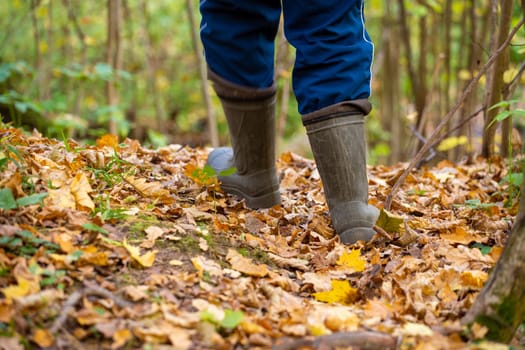 person in green rubber boots walking at autumn forest at cloudy october day, closeup with selective focus, rear view.