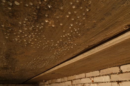 condensed water drops on the basement ceiling - close-up with selective focus.