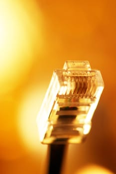 Network cable (Lan)