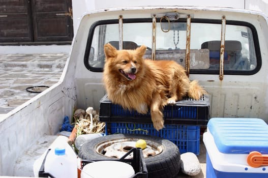 ... seen in the port of Mykonos.