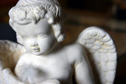 White Angel