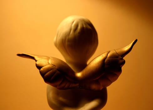 Angel wings