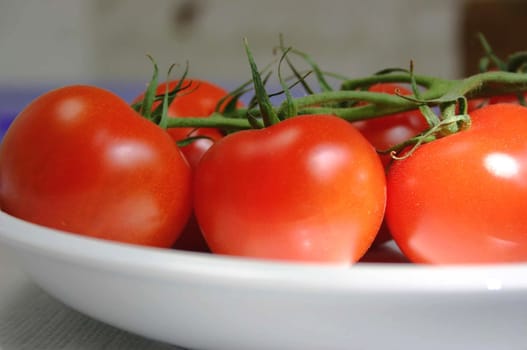 Tomatoes