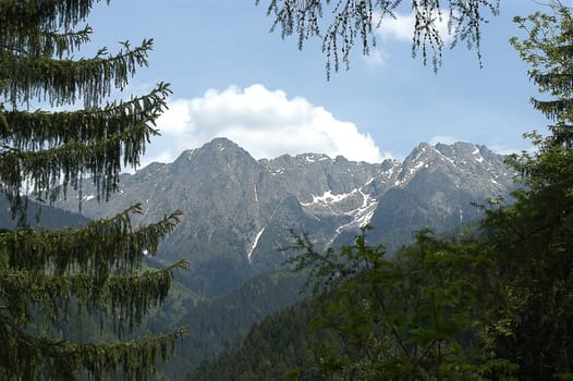 Ridge