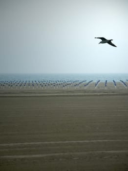 Empty beach