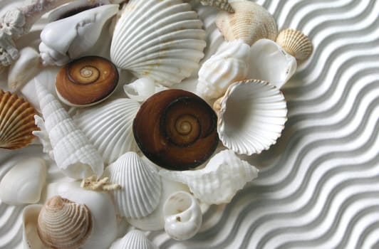 Calcifications
