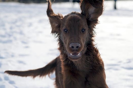 Fun in the snow 3